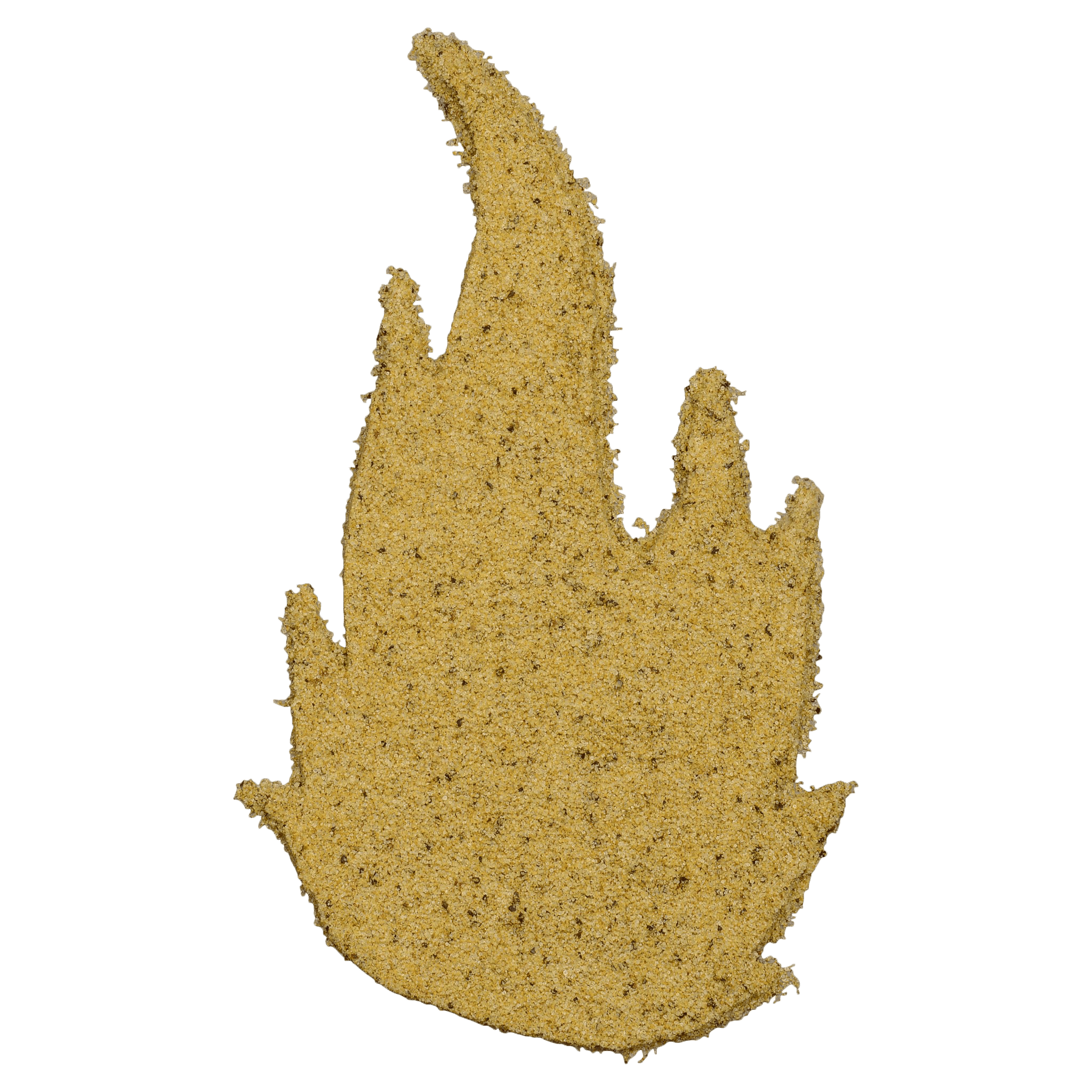 A bottle of Sure Fire BBQ Garlic Jalapeño Seasoning, 12.1 oz, featuring a black cap and a white label with red and gray text, ideal for adding a spicy and garlicky kick to various dishes.